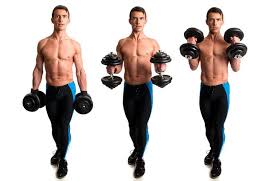 Photo of how to do a dumbbell hammer bicep curl.